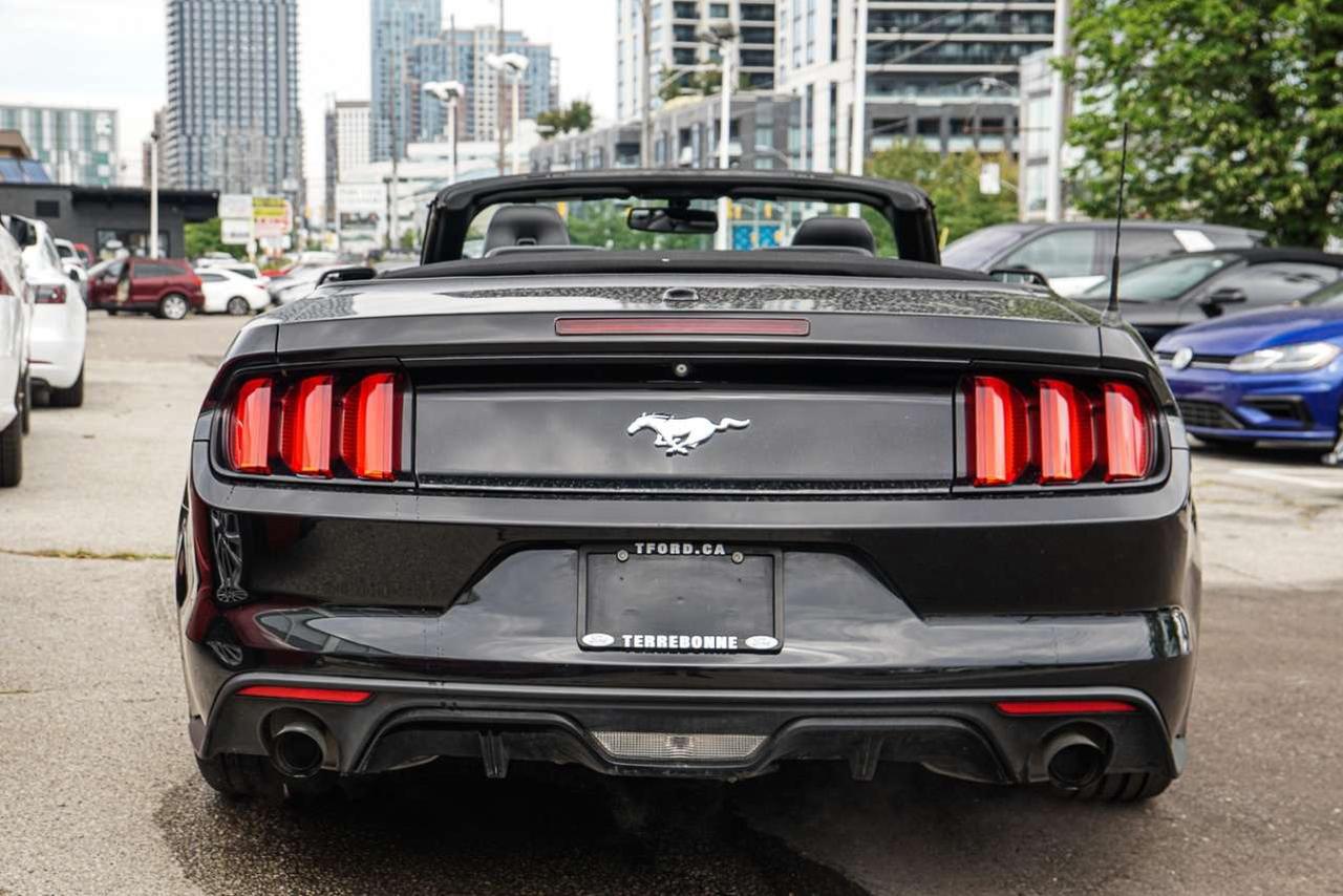 2015 Ford Mustang 2DR CONV ECOBOOST PREMIUM Photo