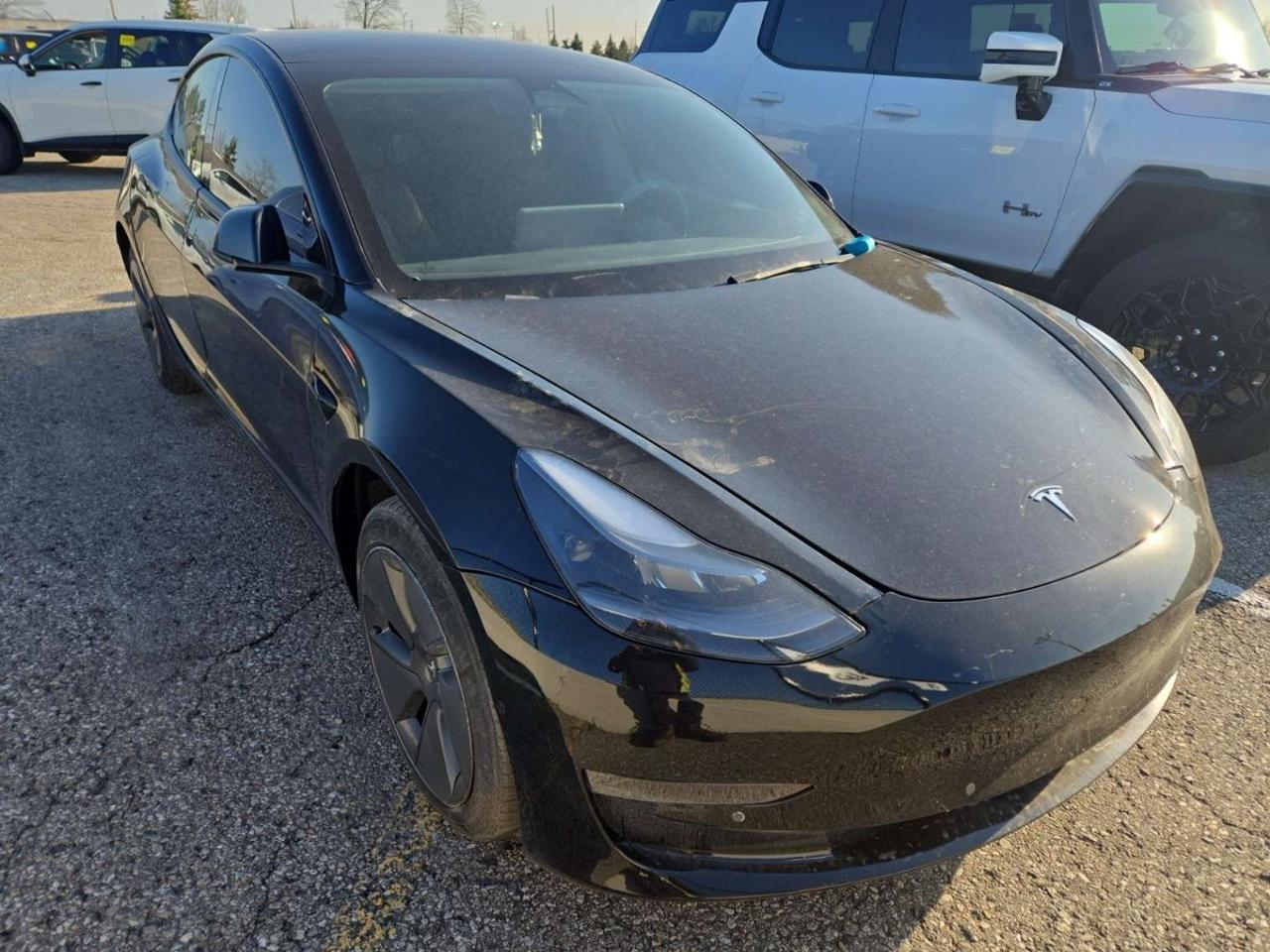 2022 Tesla Model 3 Long Range AWD Photo