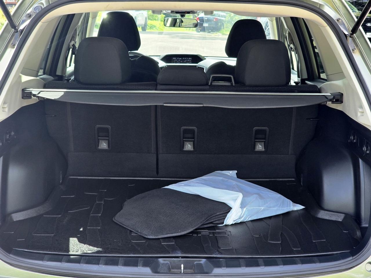 2019 Subaru Forester Convenience w/Eye Sight Pkg | Clean Carfax! Photo