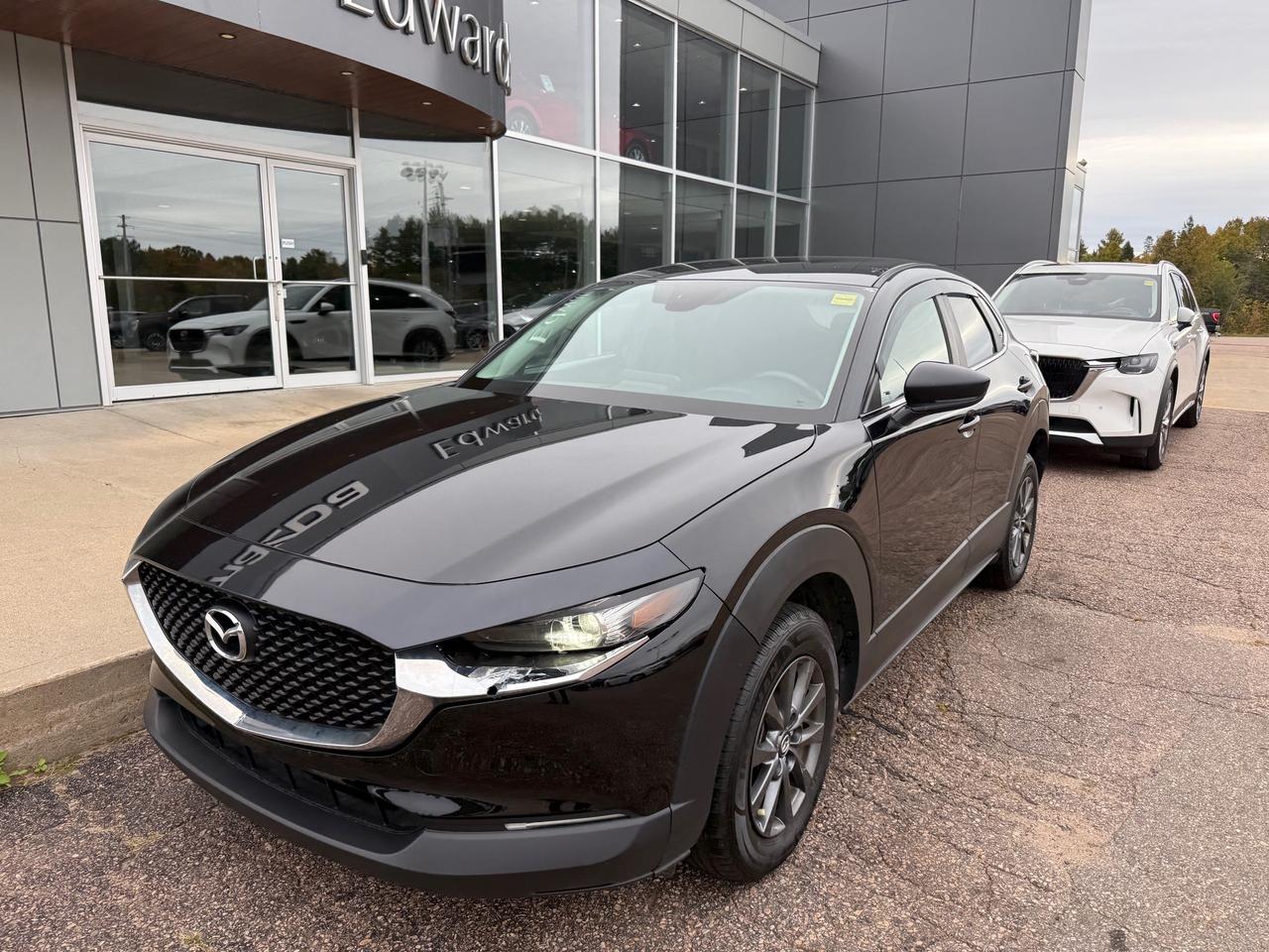 2022 Mazda CX-30 GX 4dr i-ACTIV All-Wheel Drive Sport Utility Photo