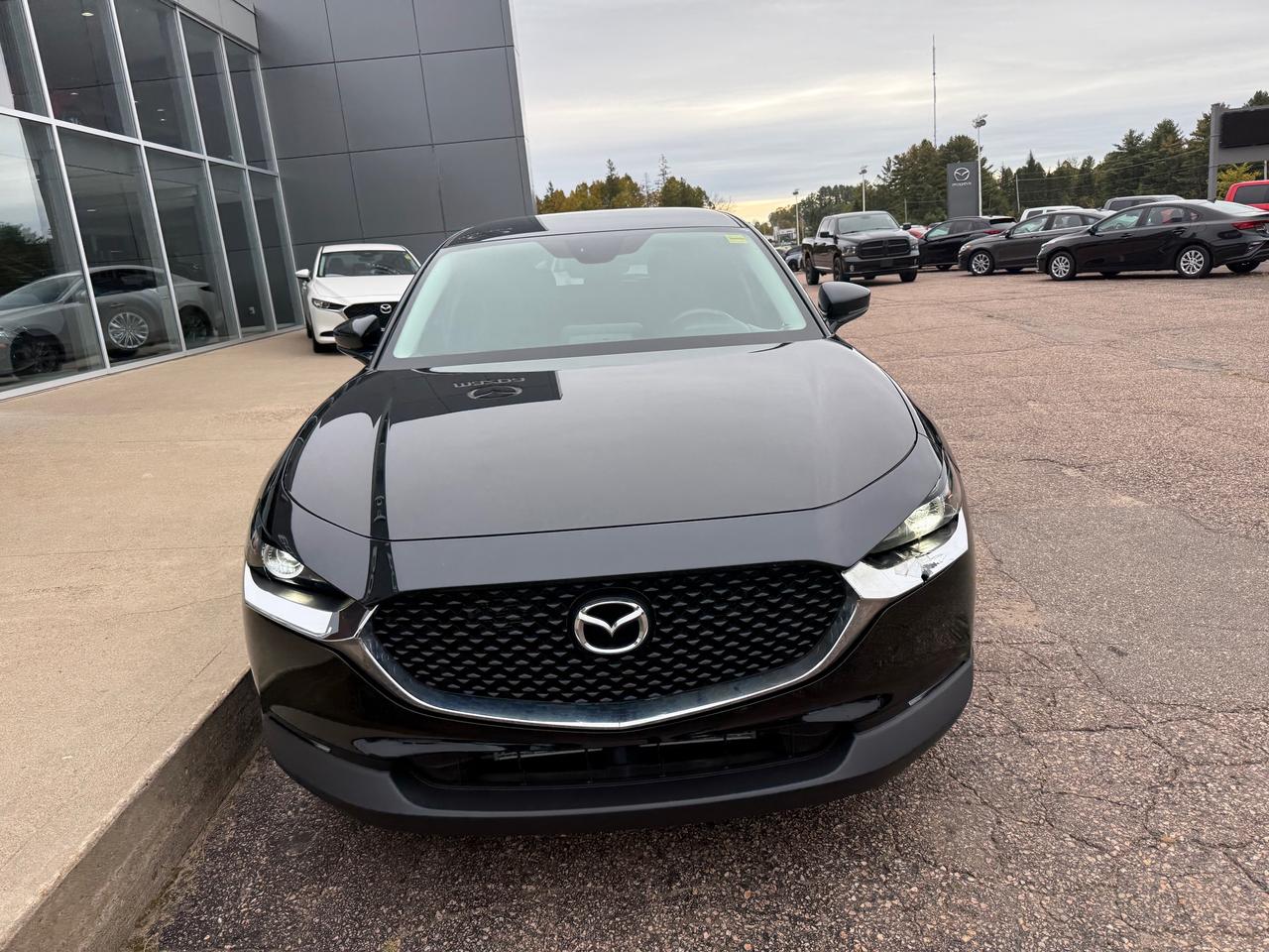2022 Mazda CX-30 GX 4dr i-ACTIV All-Wheel Drive Sport Utility Photo