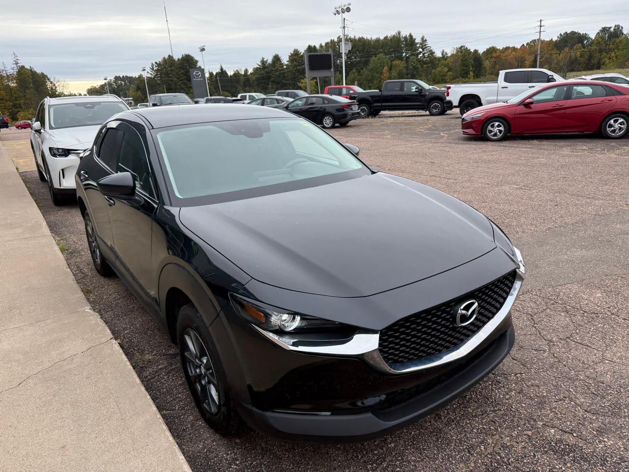 2022 Mazda CX-30 GX 4dr i-ACTIV All-Wheel Drive Sport Utility Photo
