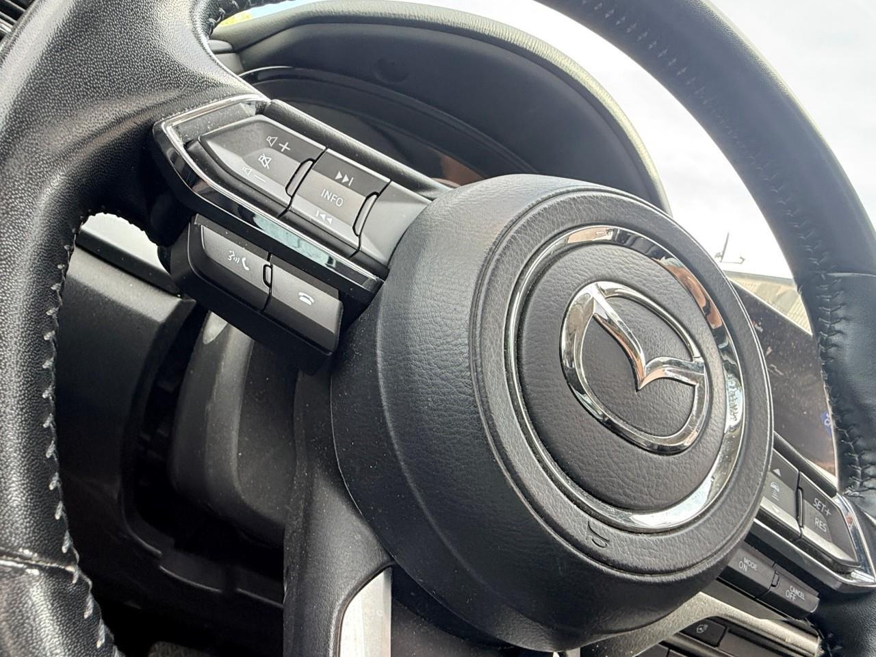 2022 Mazda CX-9 GS-L 4dr i-ACTIV All-Wheel Drive Sport Utility Photo