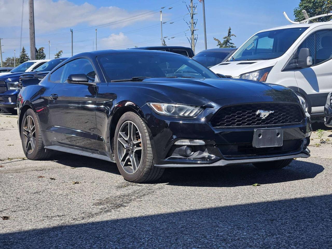 2016 Ford Mustang 2dr Fastback EcoBoost, Camera Photo