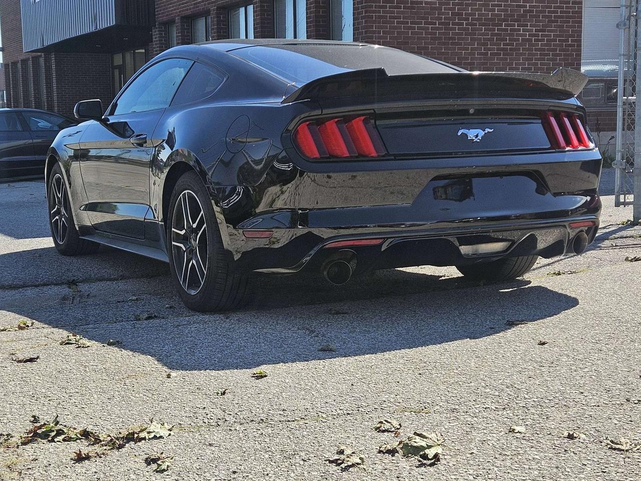 2016 Ford Mustang 2dr Fastback EcoBoost, Camera Photo
