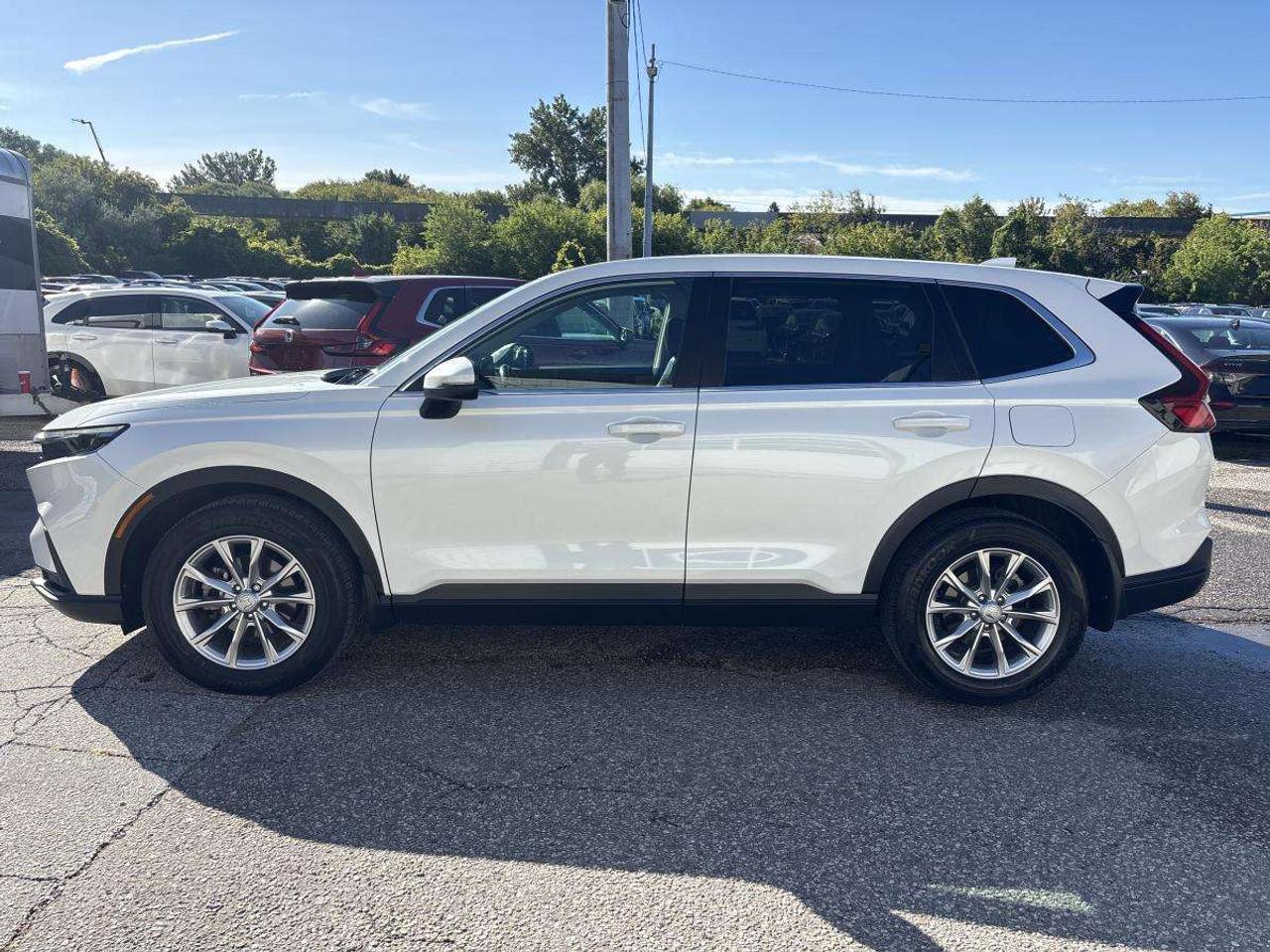 2023 Honda CR-V Ex-L Clean Carfax/One Owner Photo4