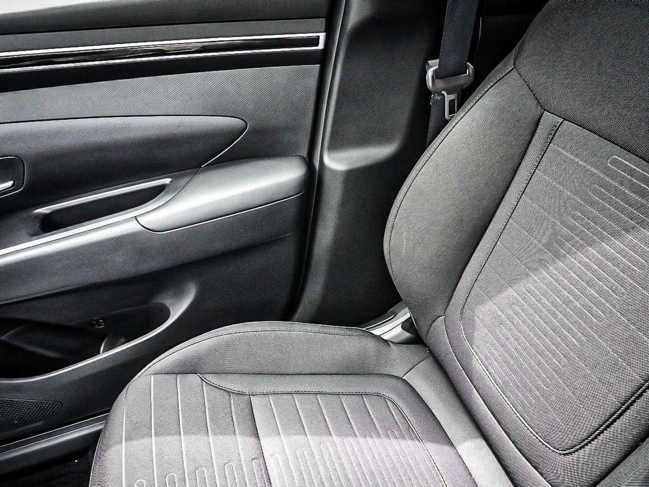 2024 Hyundai Santa Cruz  Photo