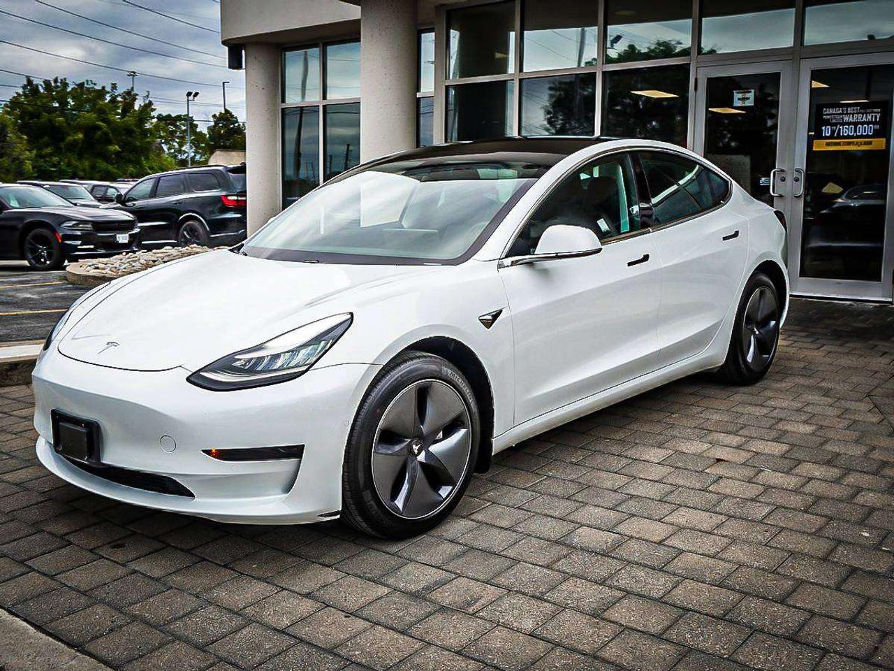 2020 Tesla Model 3  Photo