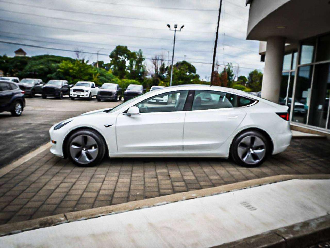 2020 Tesla Model 3  Photo