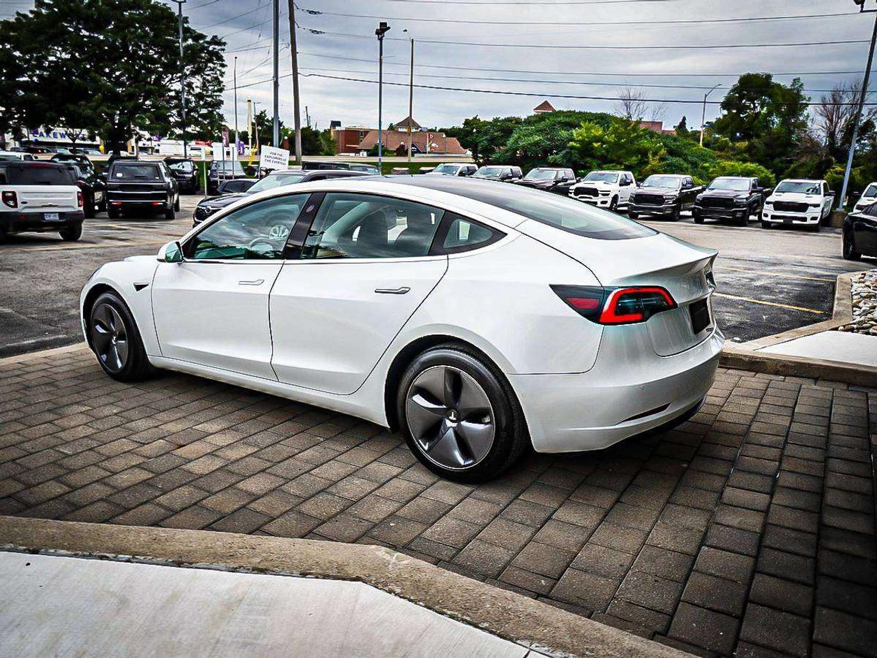 2020 Tesla Model 3  Photo