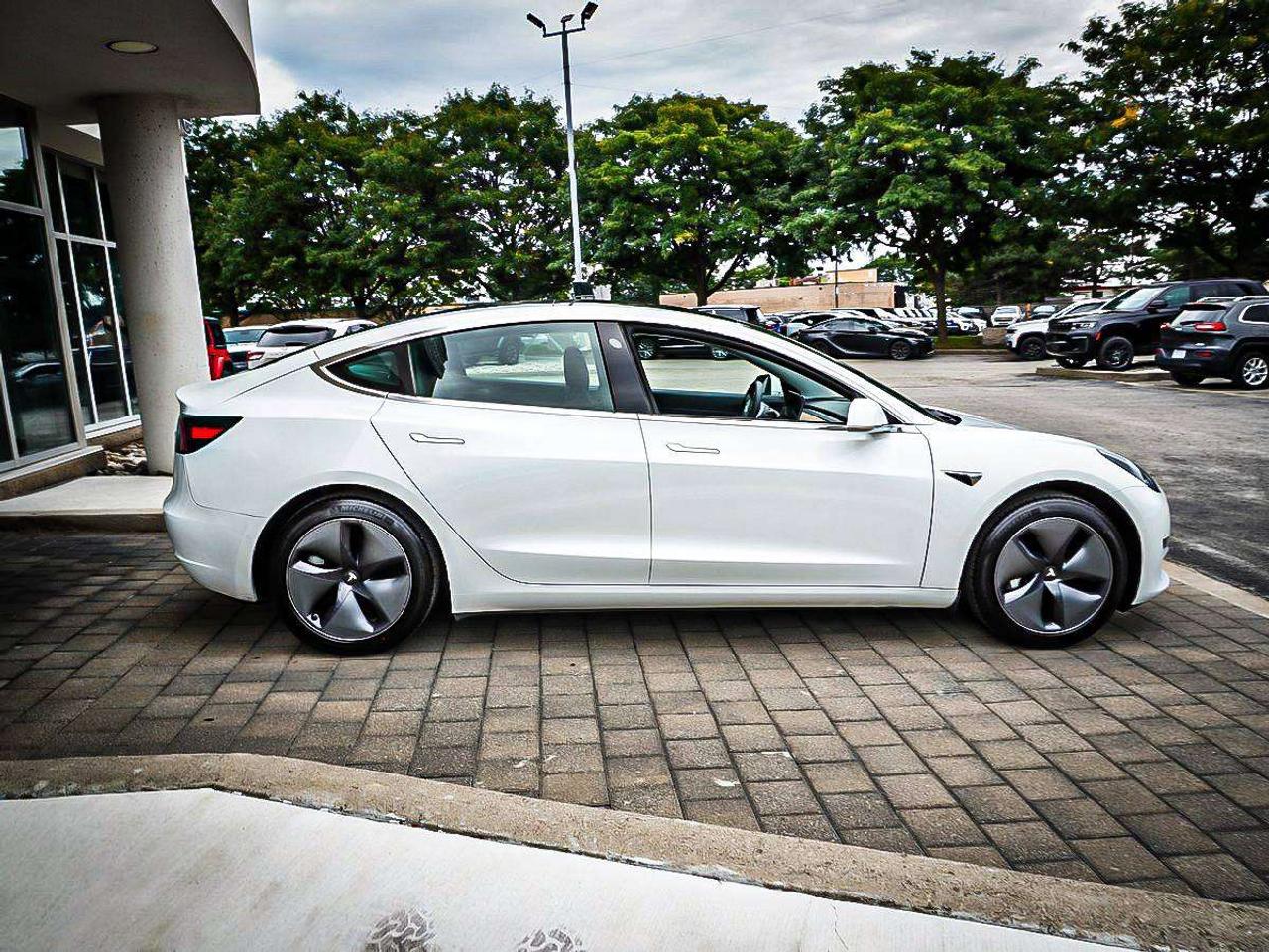2020 Tesla Model 3  Photo