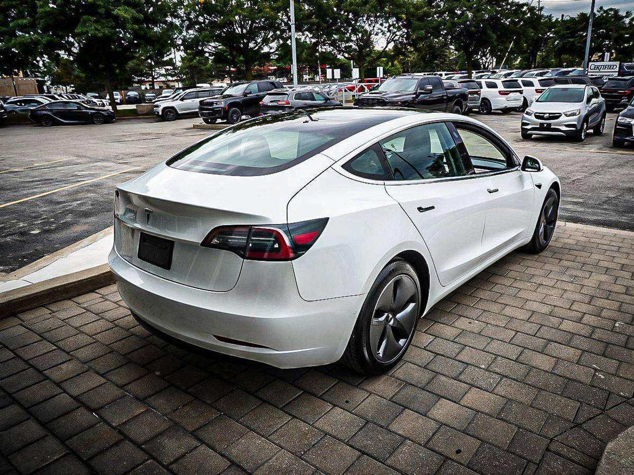 2020 Tesla Model 3  Photo