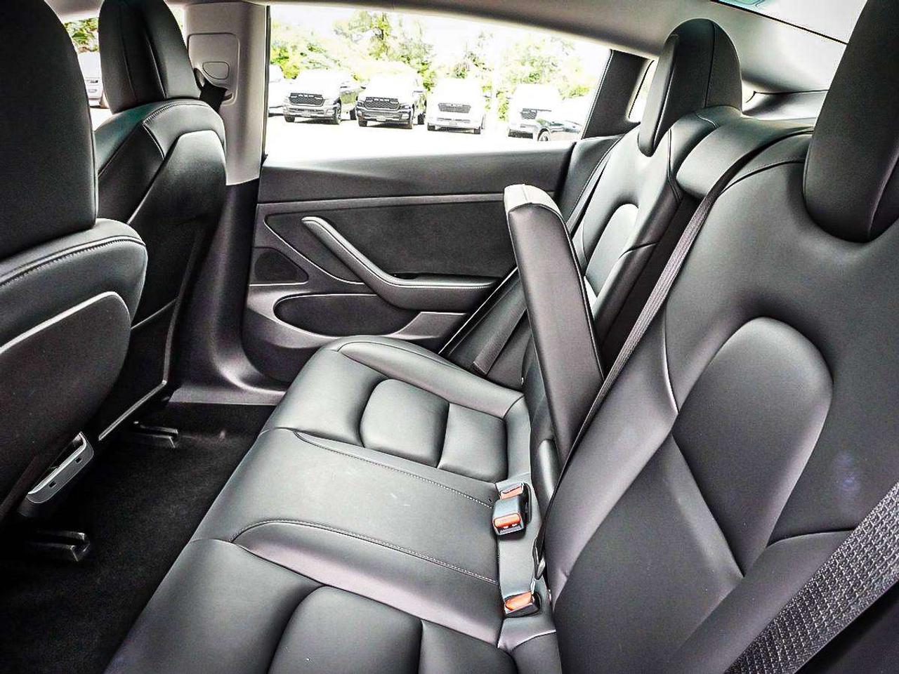 2020 Tesla Model 3  Photo