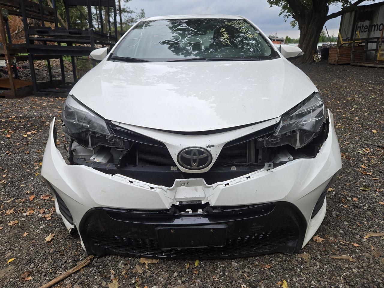 2019 Toyota Corolla SE Photo
