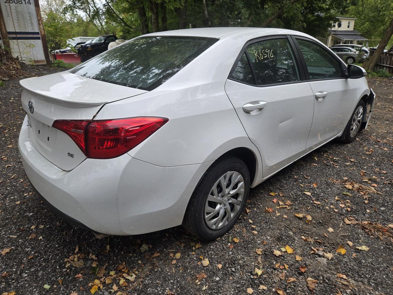 2019 Toyota Corolla SE Photo