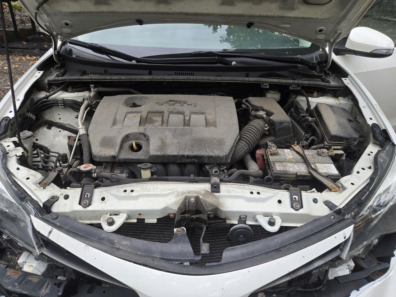 2019 Toyota Corolla SE Photo