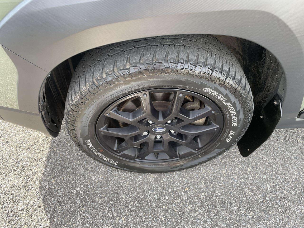 2024 Subaru XV Crosstrek Wilderness WILDERNESS!!  182 HORSES, ALL WEATHER SURFACES, ROOF, BK. CAM, ALLOYS Photo
