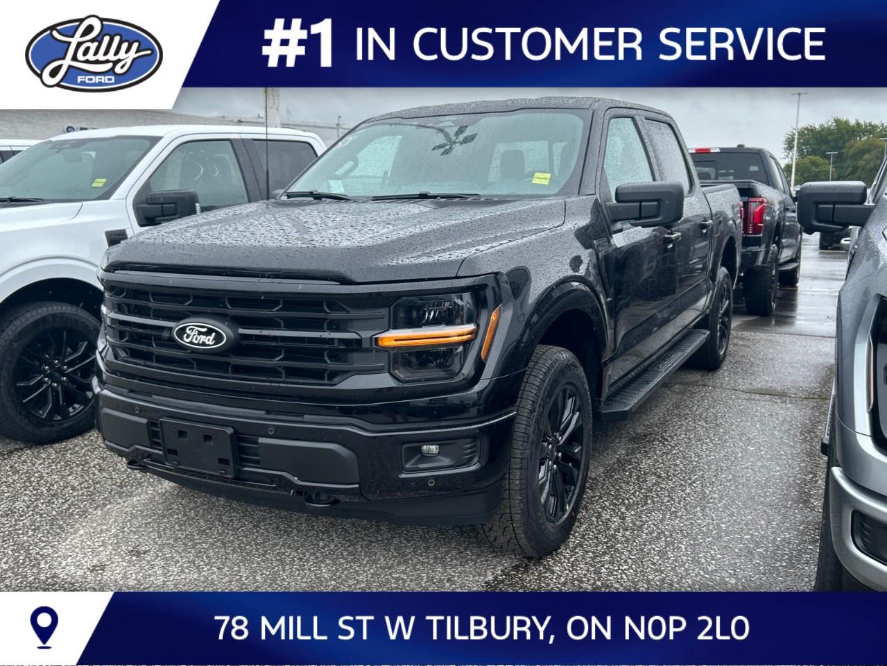 2026 Ford F-150 XLT 4WD SuperCrew 5.5' Box Photo