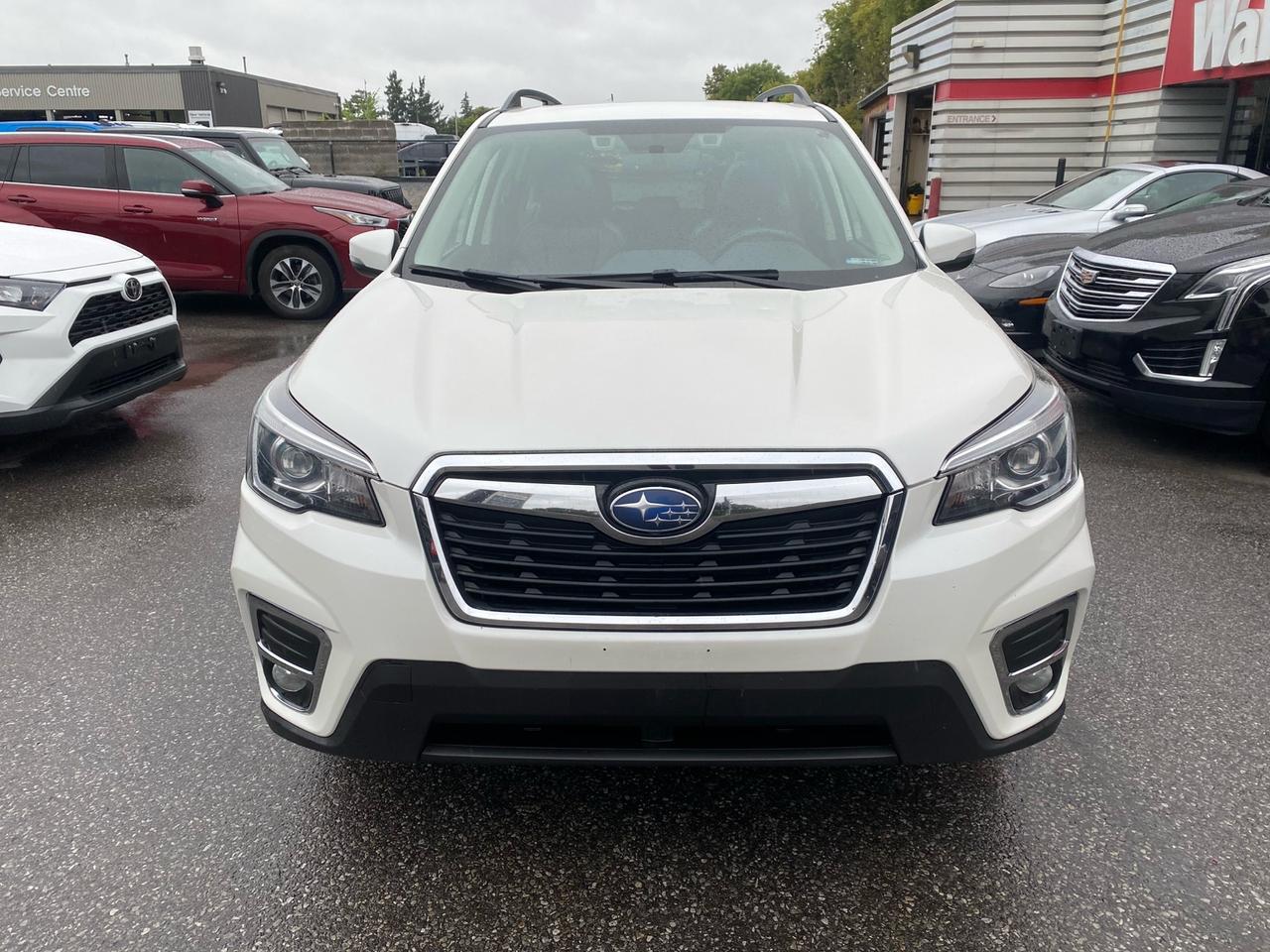 2019 Subaru Forester Limited with EyeSight | Panoramic Sunroof | NAV Photo5