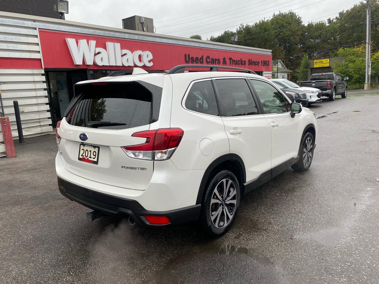 2019 Subaru Forester Limited with EyeSight | Panoramic Sunroof | NAV Photo
