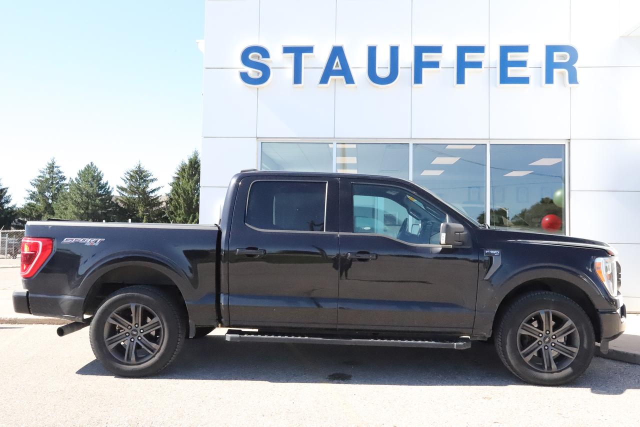 2021 Ford F-150 XLT 4WD SuperCrew 5.5' Box Photo