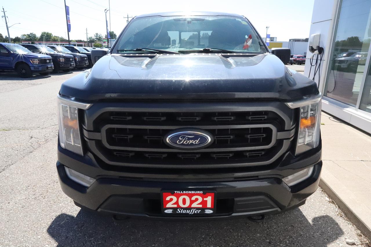 2021 Ford F-150 XLT 4WD SuperCrew 5.5' Box Photo