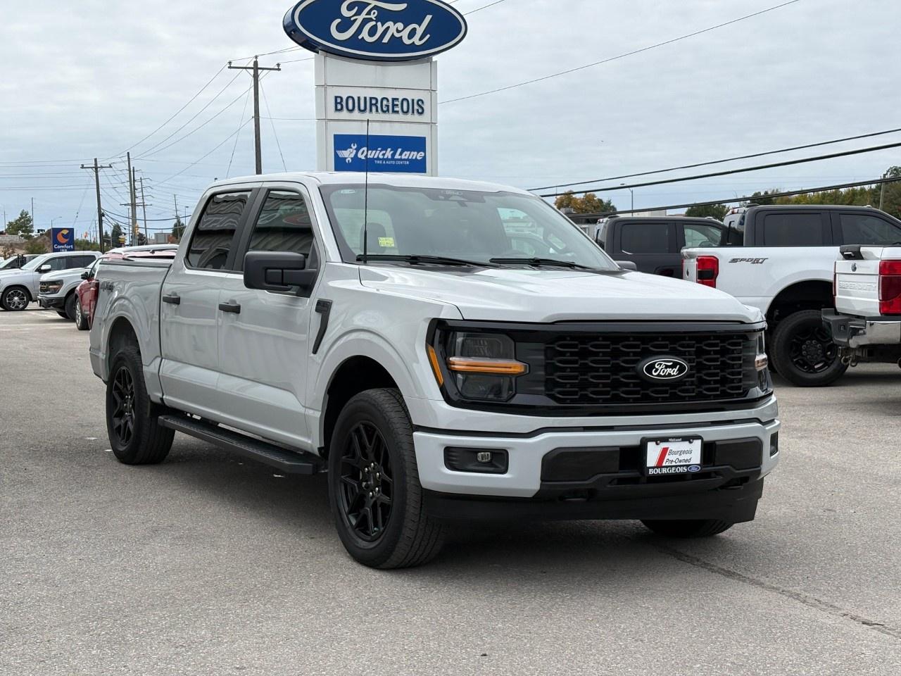 2024 Ford F-150 STX 4WD SuperCrew 5.5' Box Photo