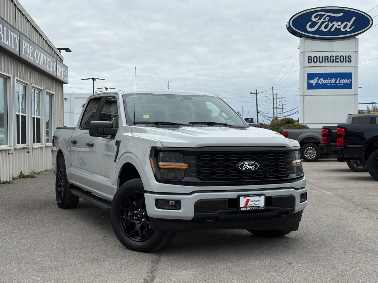 2024 Ford F-150 STX 4WD SuperCrew 5.5' Box Photo