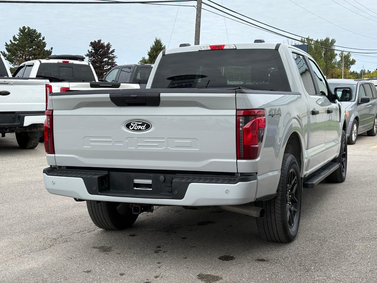 2024 Ford F-150 STX 4WD SuperCrew 5.5' Box Photo