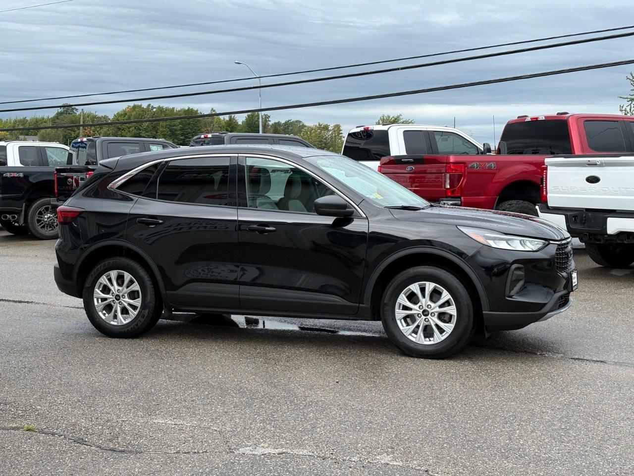 2024 Ford Escape Active AWD Photo4