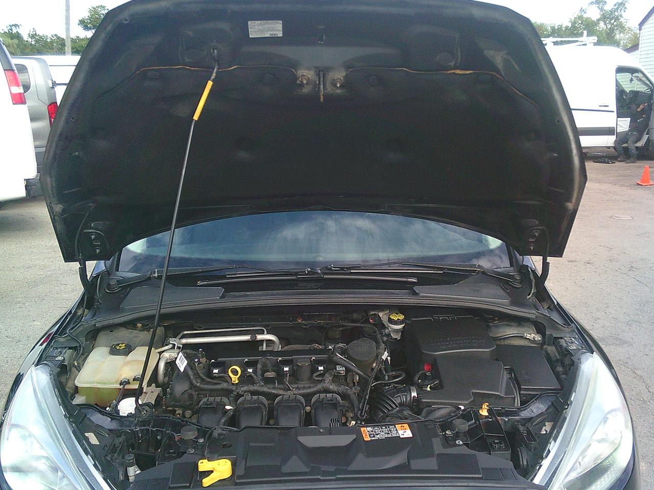 2015 Ford Focus 5DR HB SE Photo