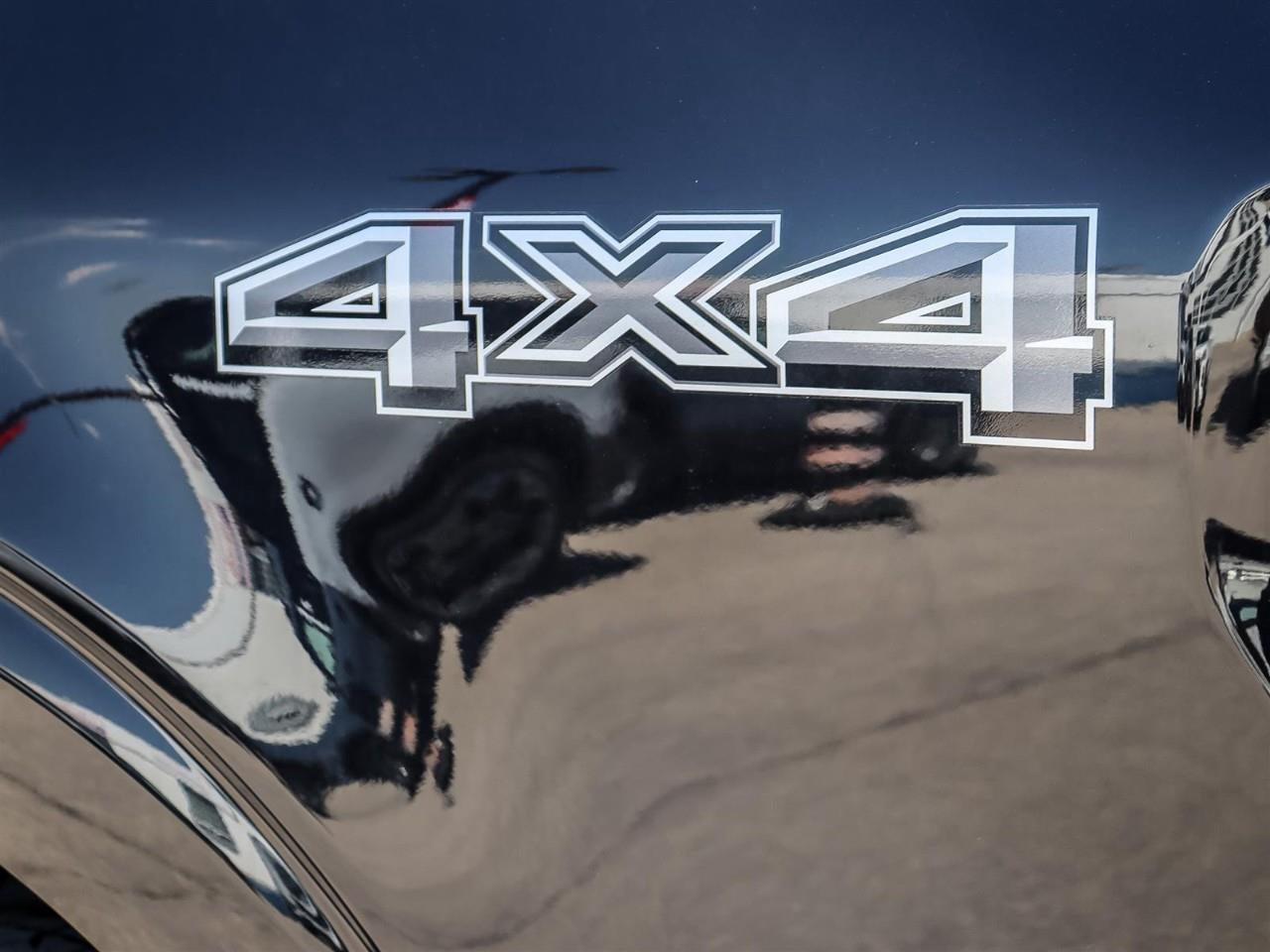 2026 Ford F-150 XLT Photo