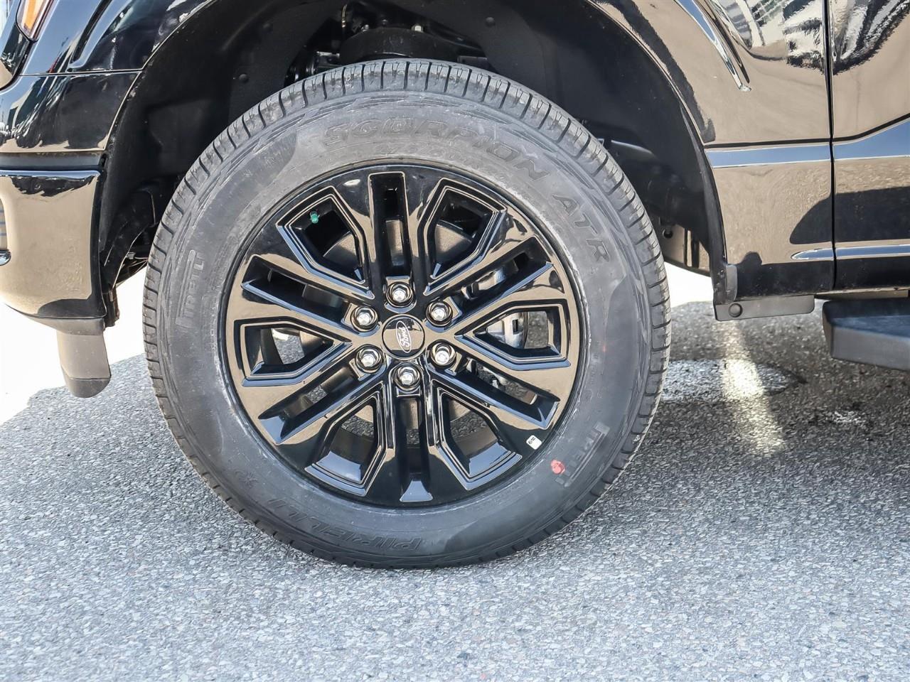 2026 Ford F-150 XLT Photo