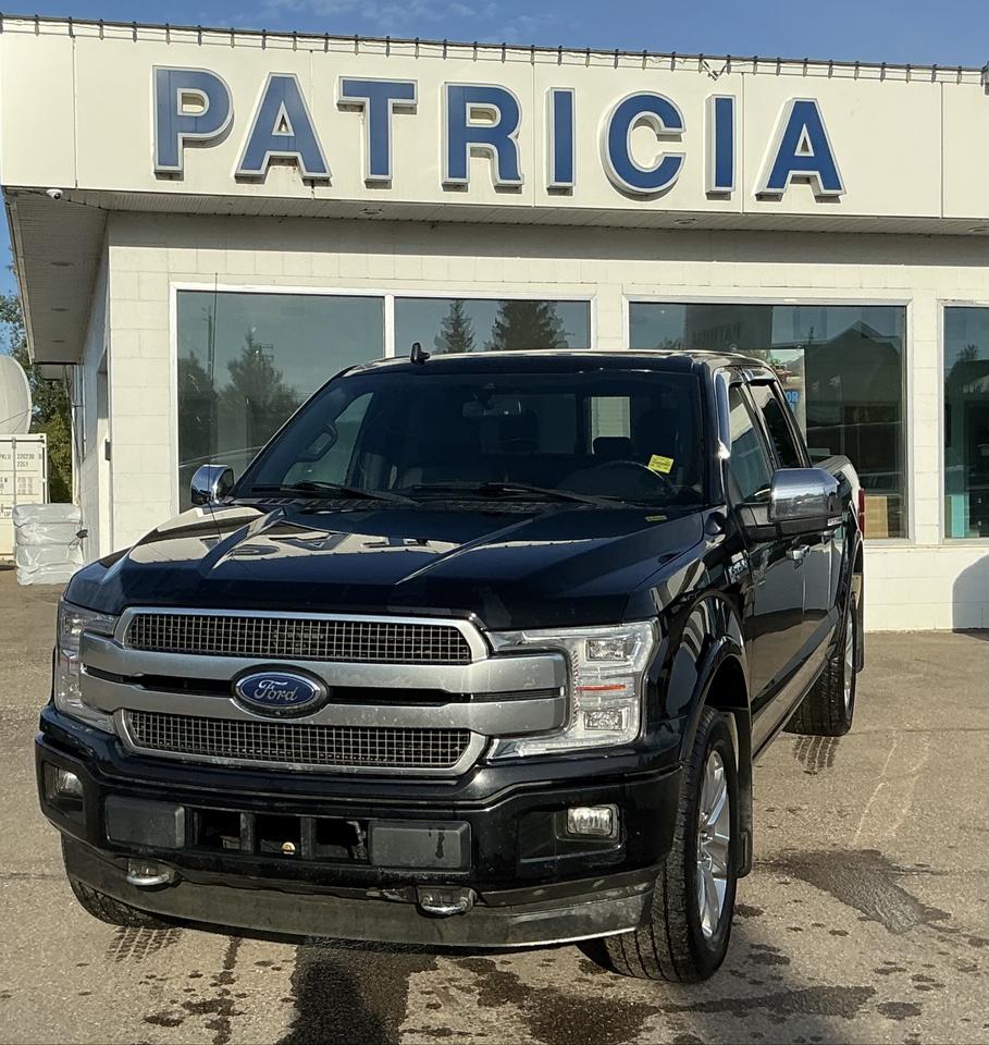 2020 Ford F-150 Platinum Photo0