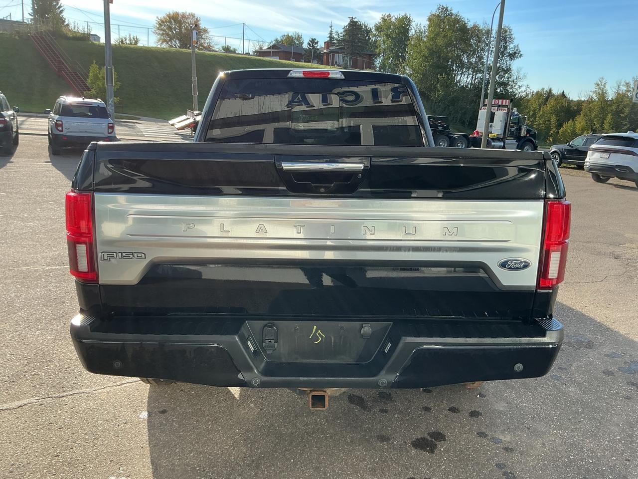 2020 Ford F-150 Platinum Photo4
