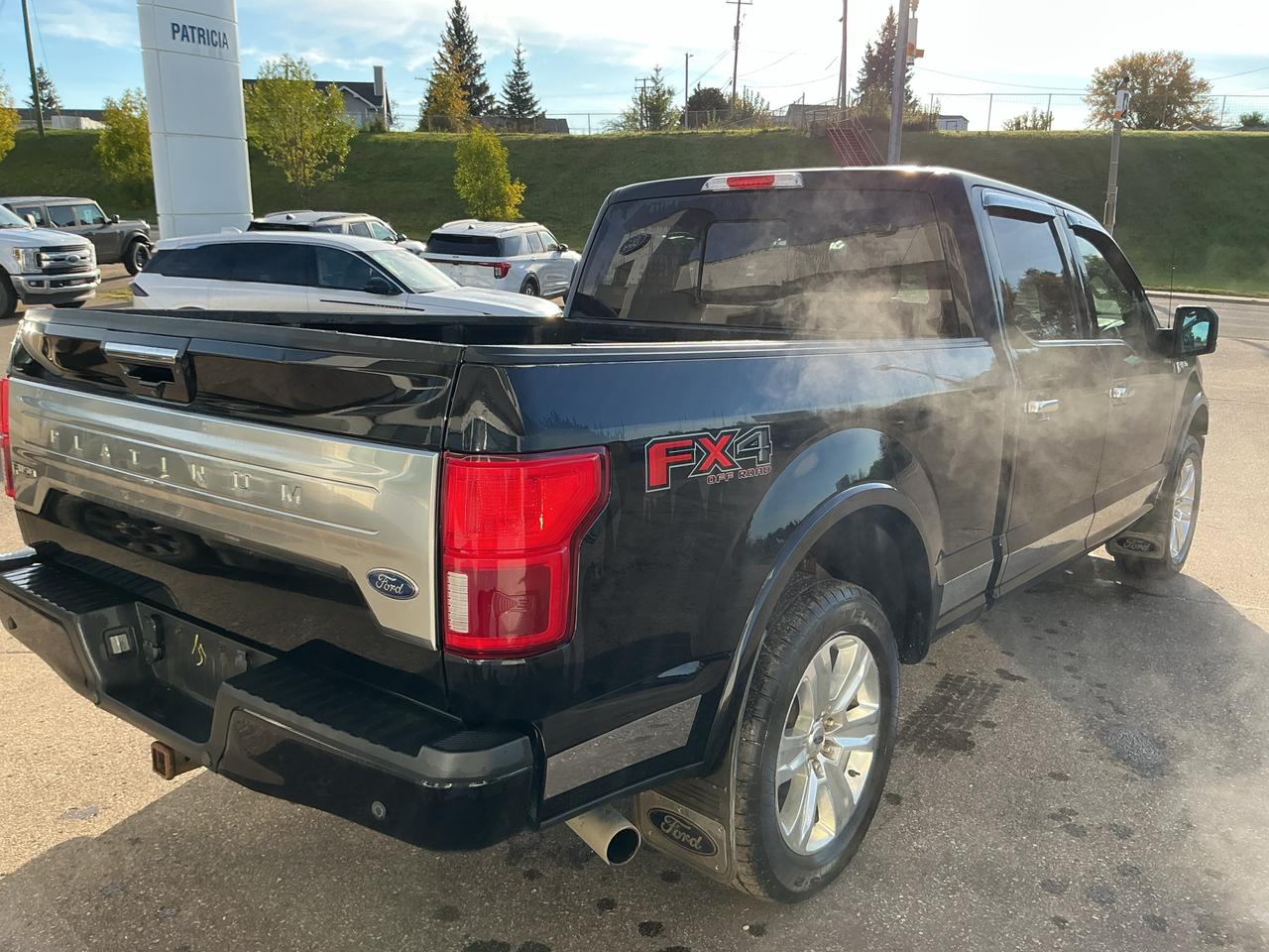 2020 Ford F-150 Platinum Photo3