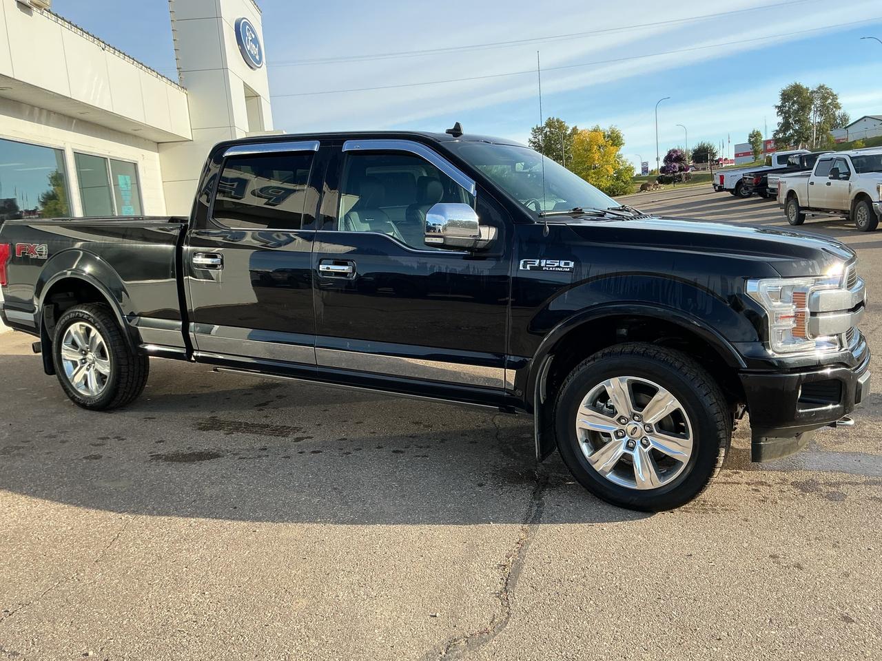 2020 Ford F-150 Platinum Photo2