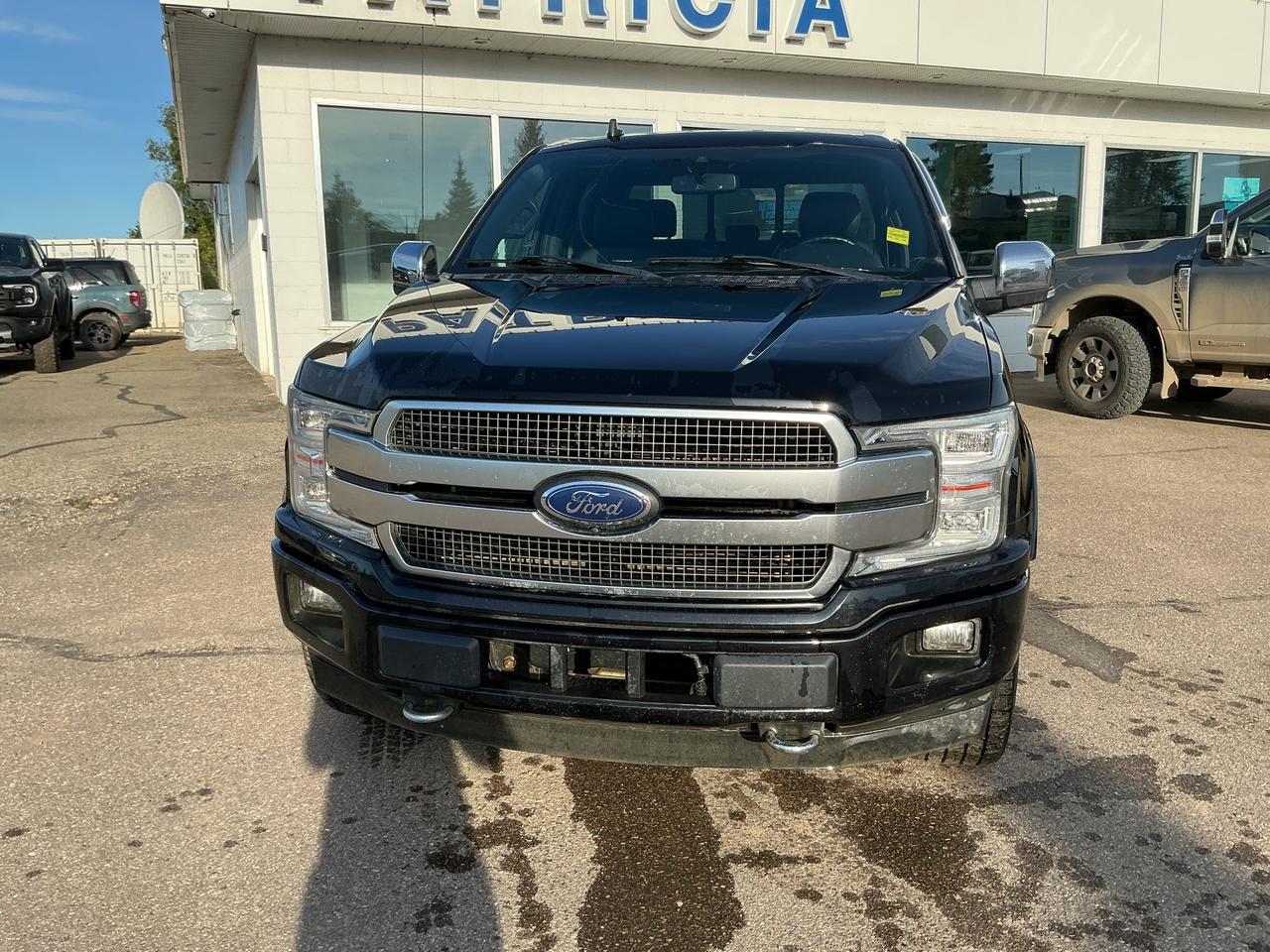 2020 Ford F-150 Platinum Photo1