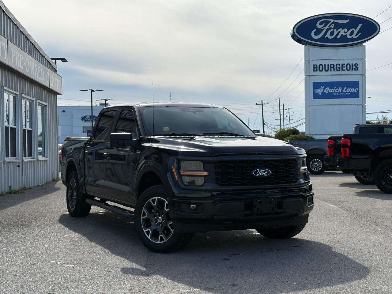 2024 Ford F-150 STX 4WD SuperCrew 5.5' Box Photo