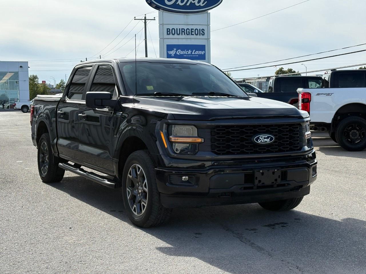 2024 Ford F-150 STX 4WD SuperCrew 5.5' Box Photo
