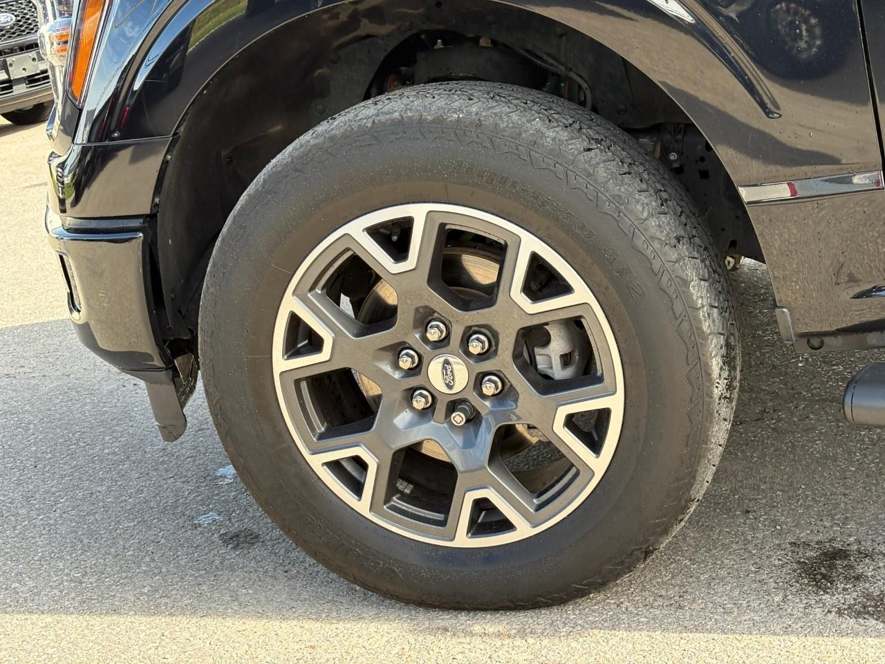 2024 Ford F-150 STX 4WD SuperCrew 5.5' Box Photo