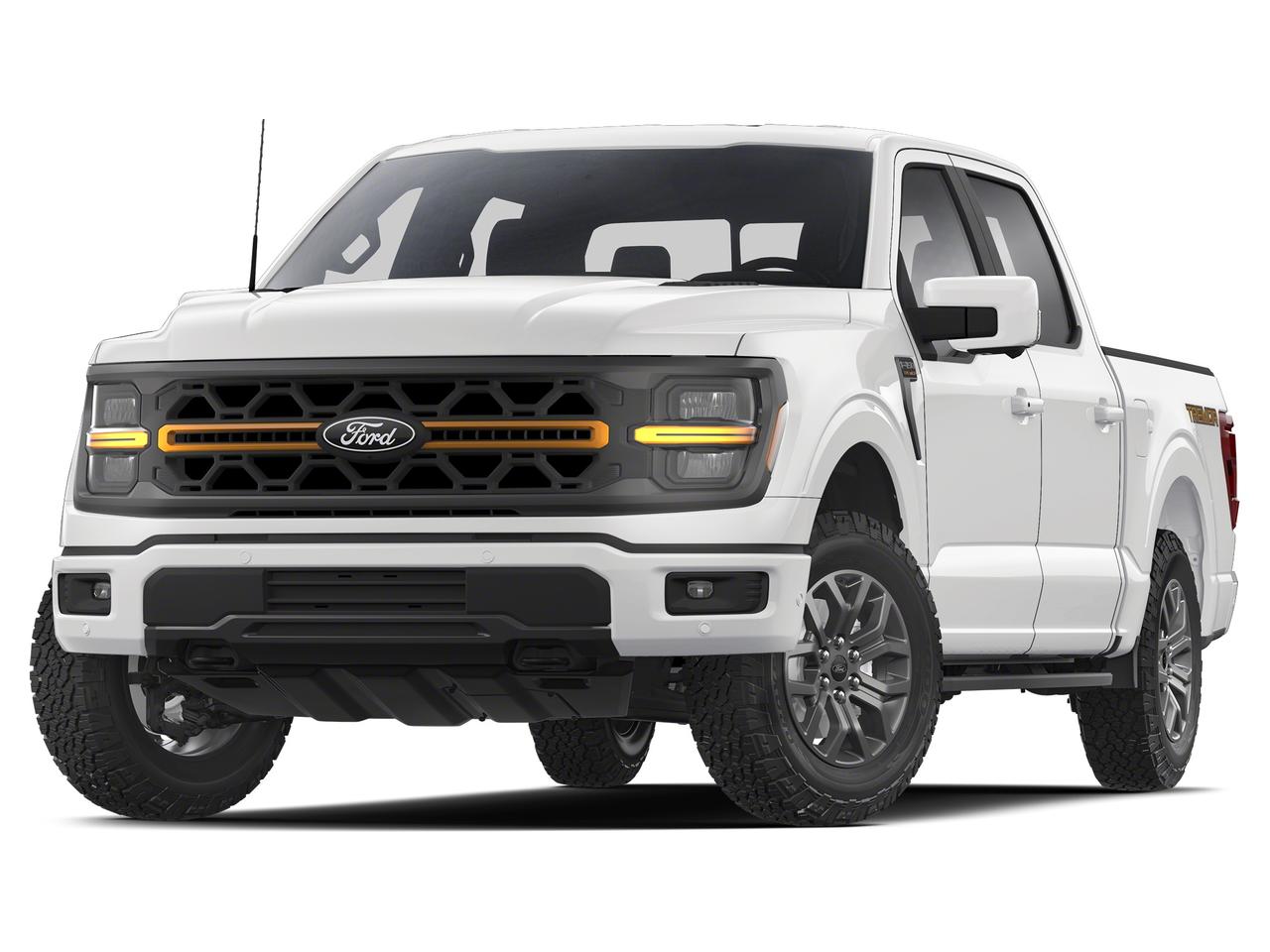2025 Ford F-150 Tremor Photo0