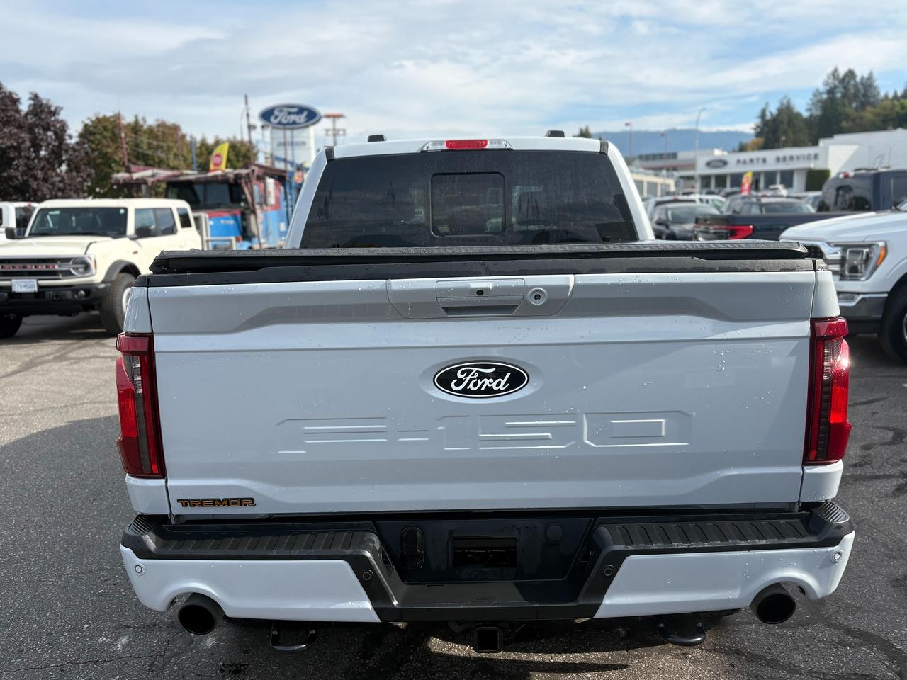 2025 Ford F-150 Tremor Photo3