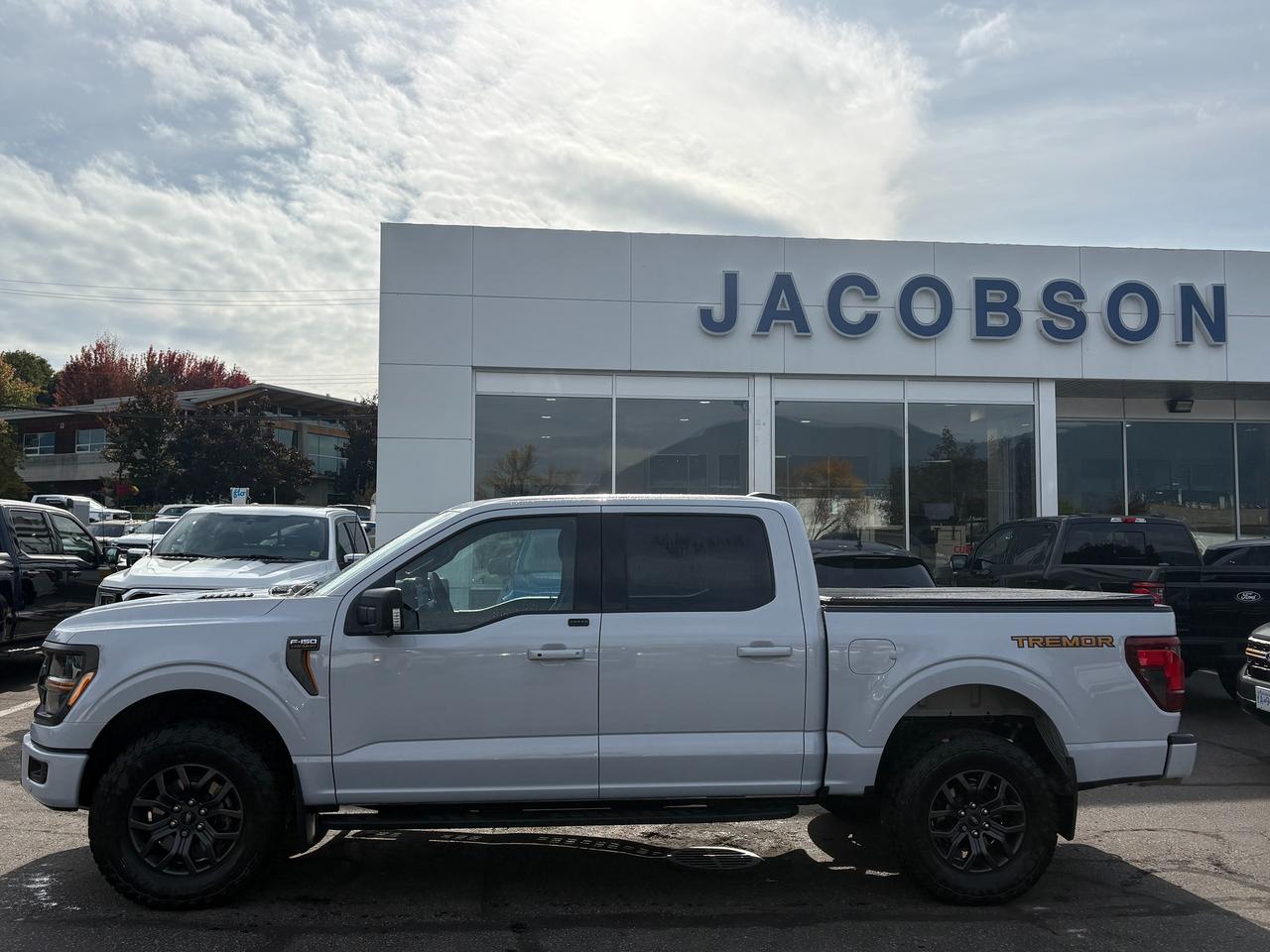 2025 Ford F-150 Tremor Photo1