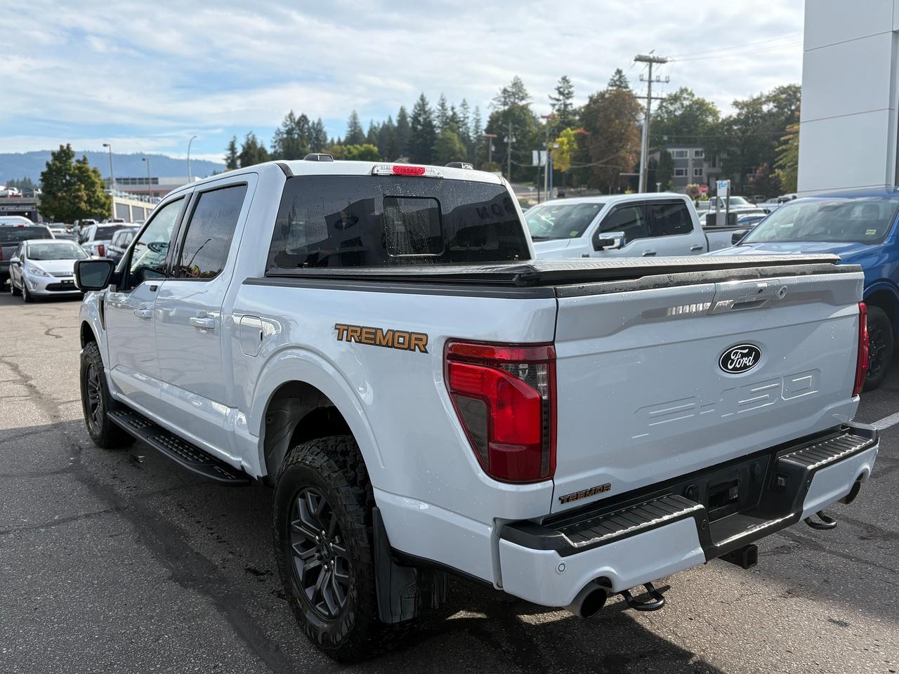 2025 Ford F-150 Tremor Photo2