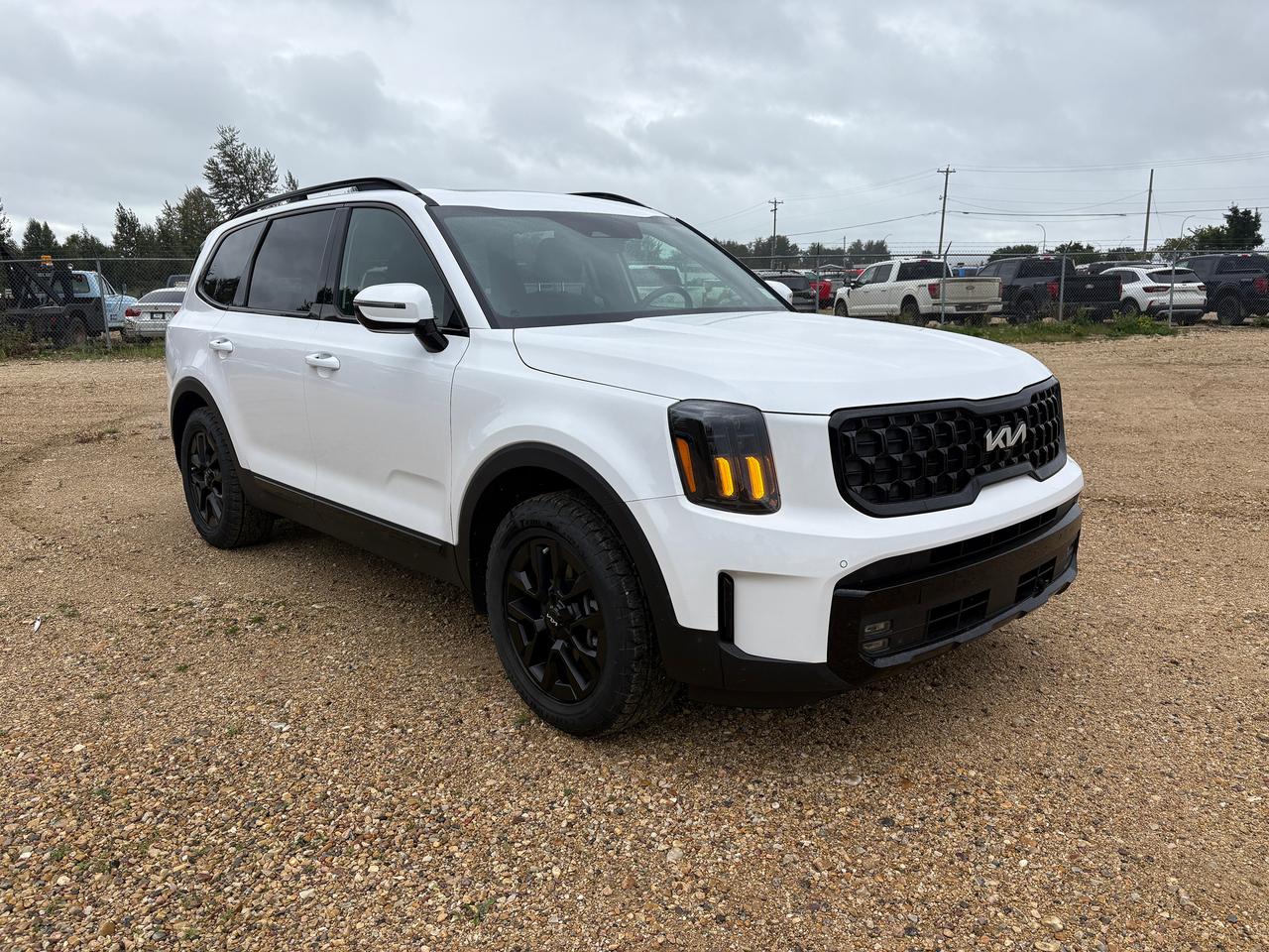 2024 Kia Telluride X-Pro Photo2