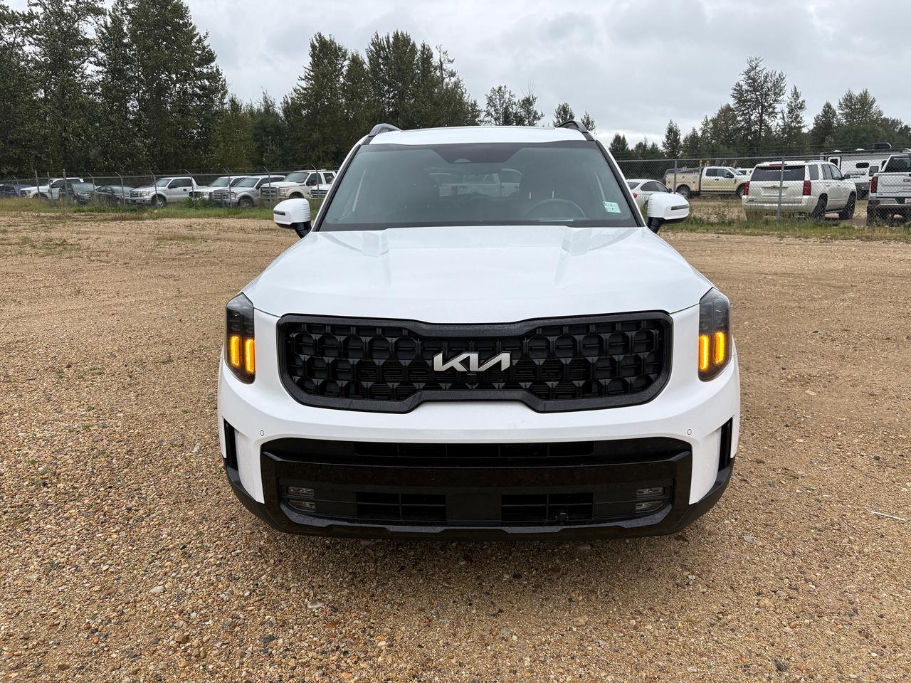 2024 Kia Telluride X-Pro Photo1