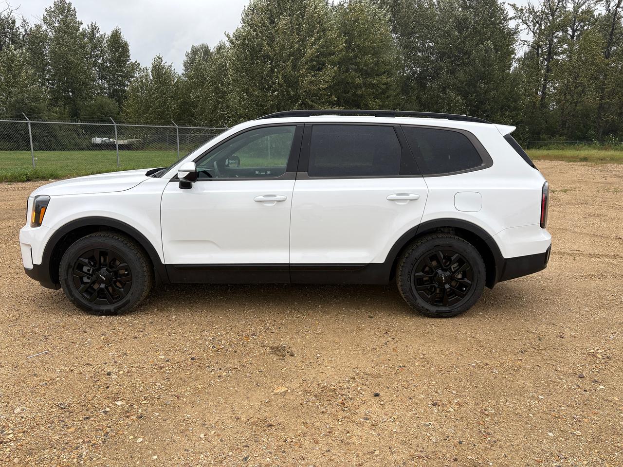 2024 Kia Telluride X-Pro Photo4