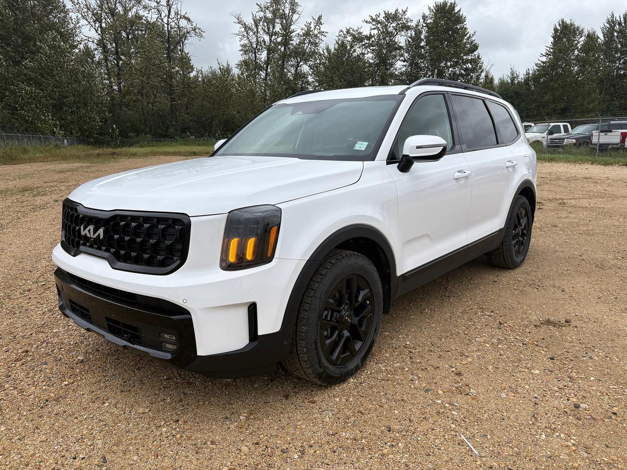 2024 Kia Telluride X-Pro Photo0
