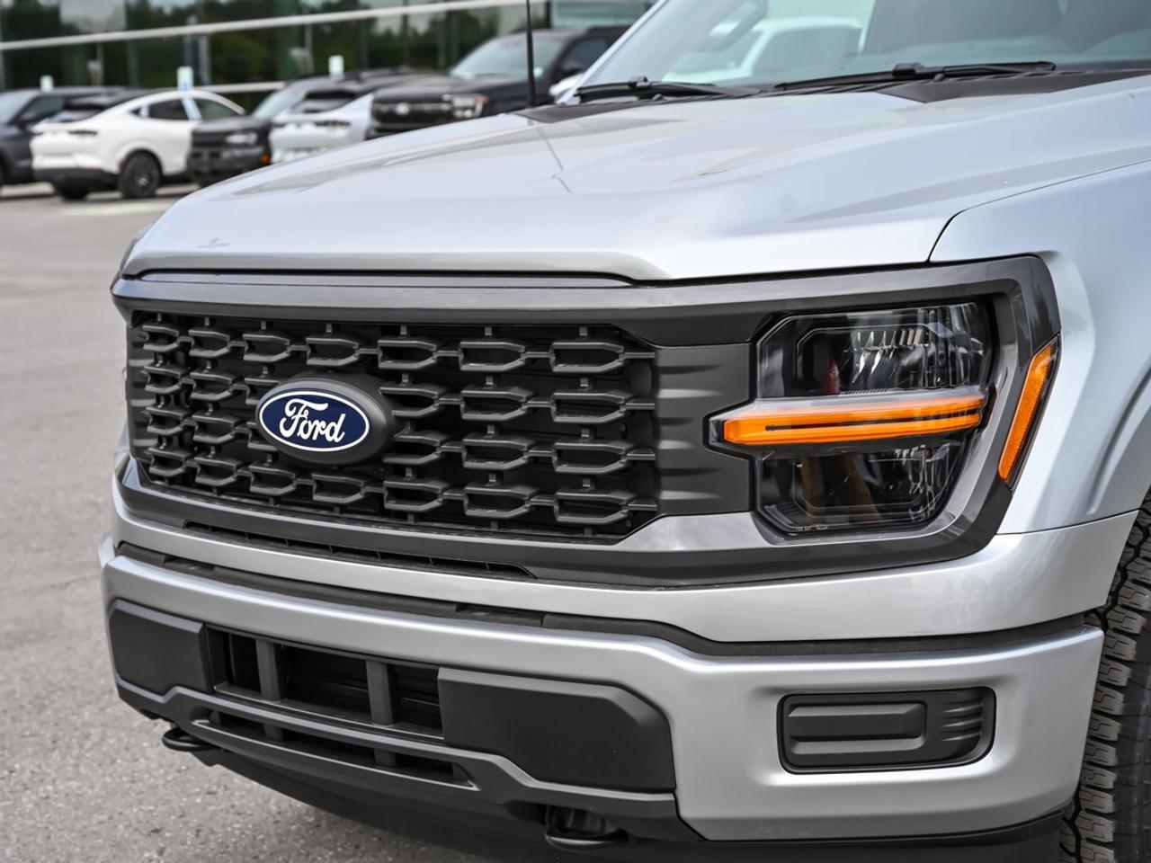 2026 Ford F-150 STX Photo